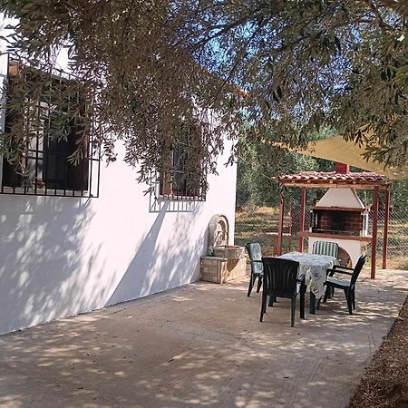 The Small House In The Olive Grove Lefokastro Exterior photo