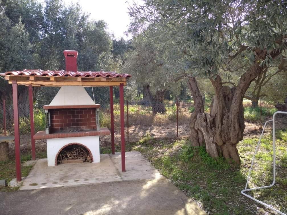 The Small House In The Olive Grove Lefokastro Exterior photo