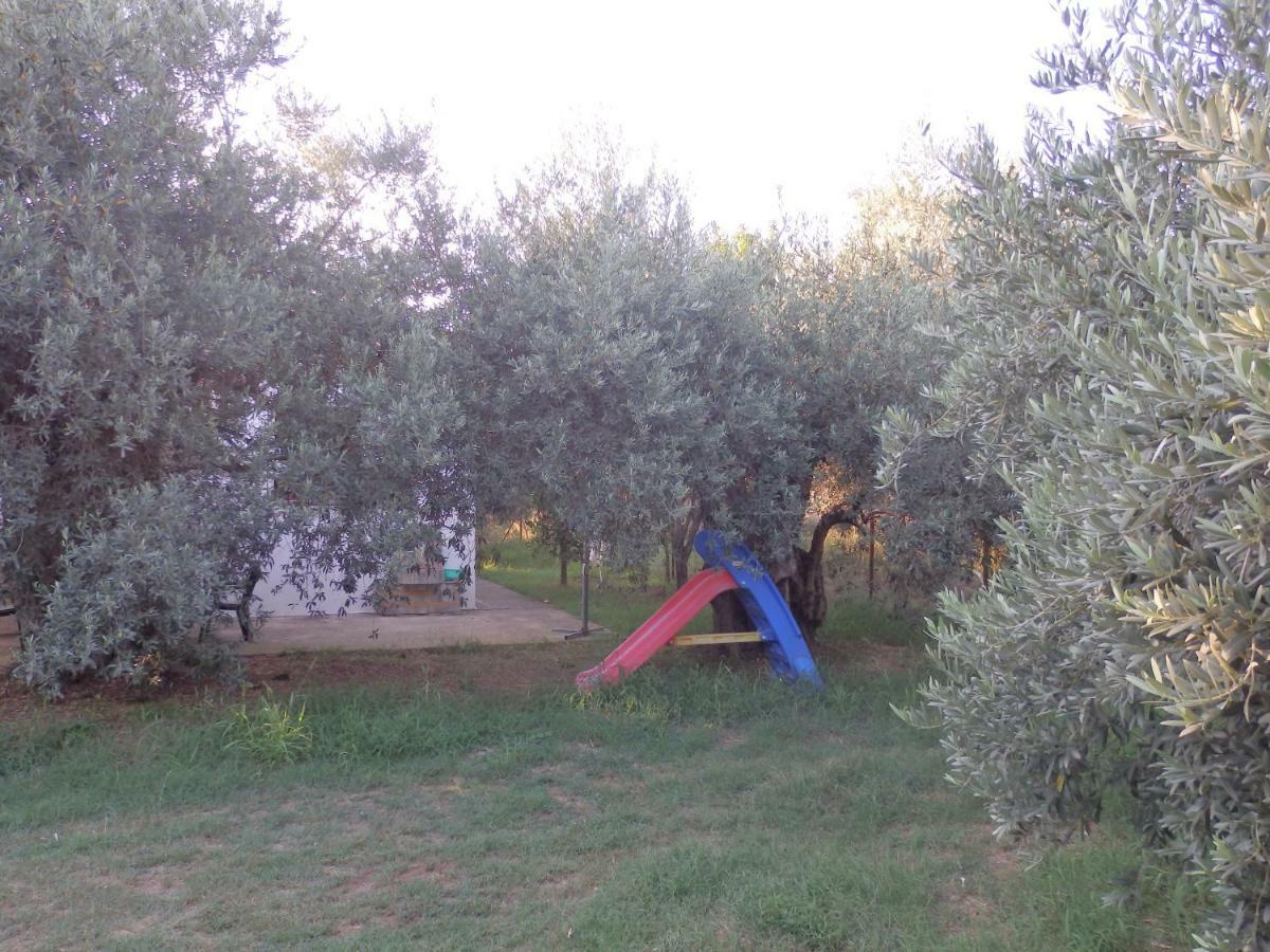 The Small House In The Olive Grove Lefokastro Exterior photo