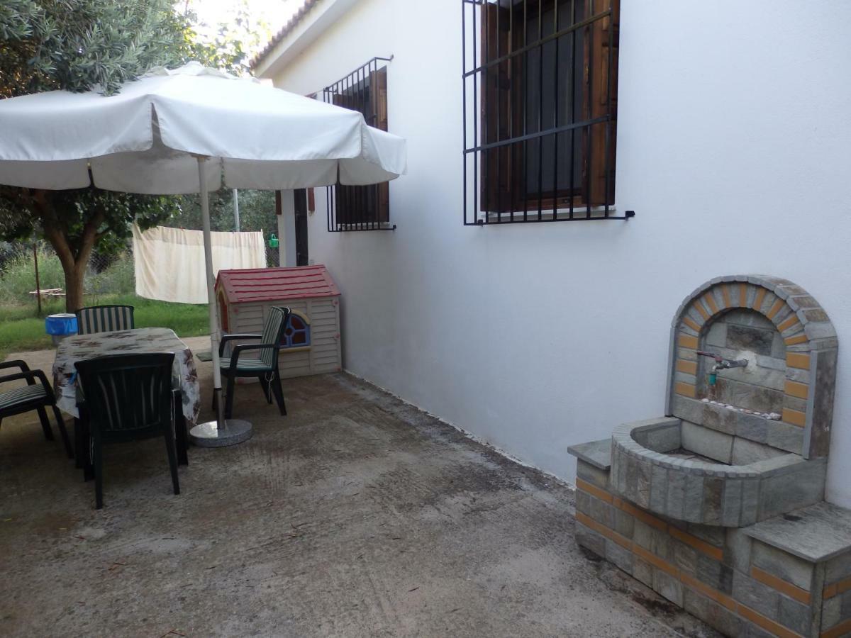 The Small House In The Olive Grove Lefokastro Exterior photo